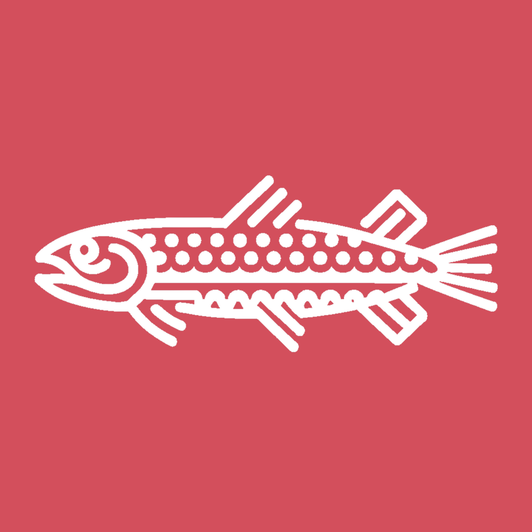 Retro Fish