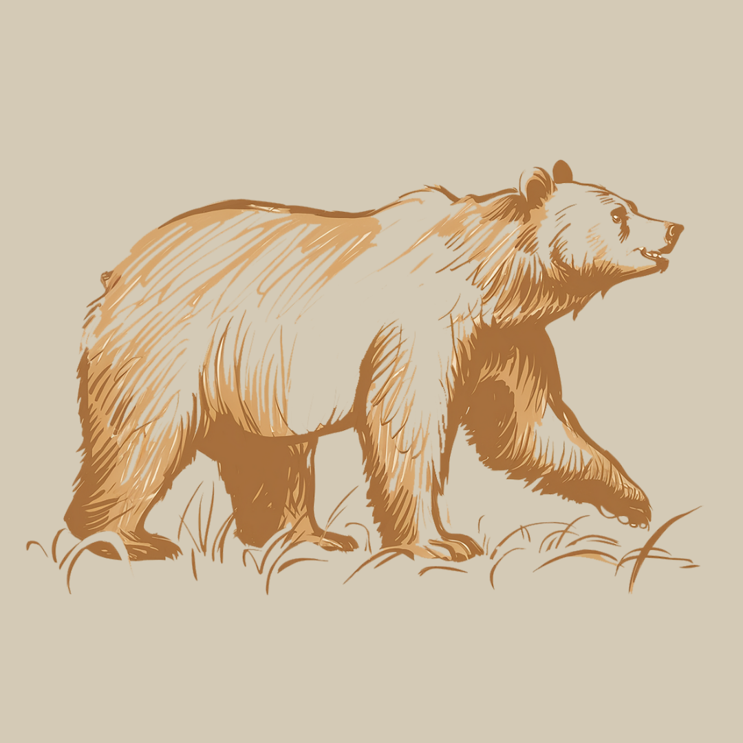 Roaming Bear